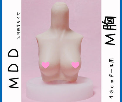 MDD　M胸サイズ （上半身パーツ）