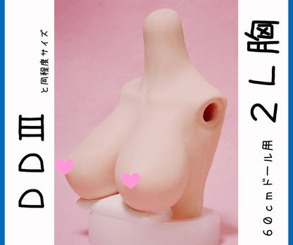 DD　２L胸サイズ （上半身パーツ）
