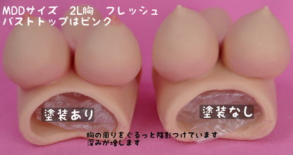 やわらか上半身胸パーツ専用　バストトップ塗装+陰影塗装サービス